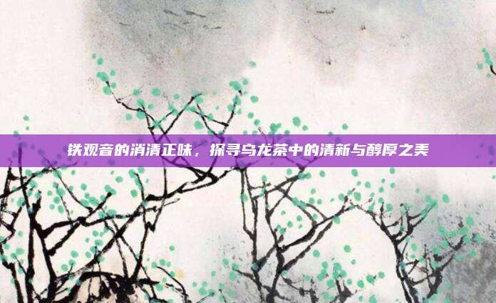 铁观音的消清正味,探寻乌龙茶中的清新与醇厚之美