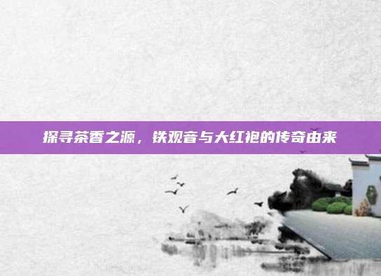 探寻茶香之源，铁观音与大红袍的传奇由来