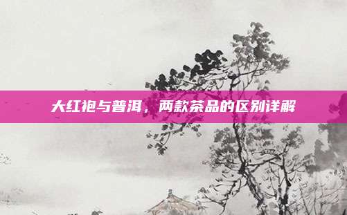 大红袍与普洱，两款茶品的区别详解