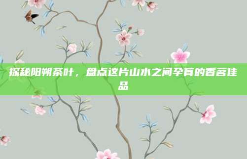 探秘阳朔茶叶,盘点这片山水之间孕育的香茗佳品