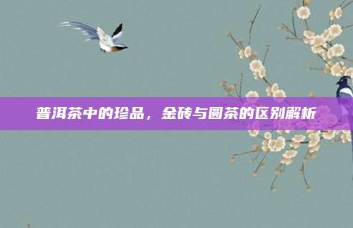 普洱茶中的珍品，金砖与圆茶的区别解析