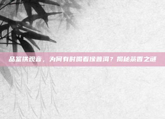 品鉴铁观音，为何有时喝着像普洱？揭秘茶香之谜