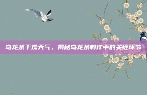 乌龙茶干燥天气，揭秘乌龙茶制作中的关键环节