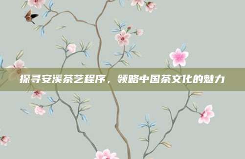 探寻安溪茶艺程序，领略中国茶文化的魅力