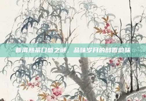 普洱熟茶口感之谜，品味岁月的醇香韵味