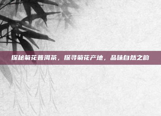 探秘菊花普洱茶，探寻菊花产地，品味自然之韵