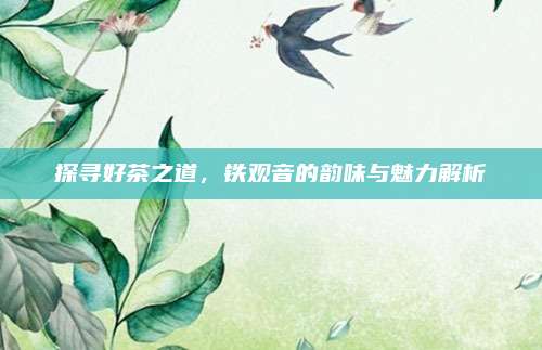 探寻好茶之道，铁观音的韵味与魅力解析