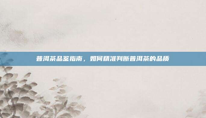 普洱茶品鉴指南，如何精准判断普洱茶的品质