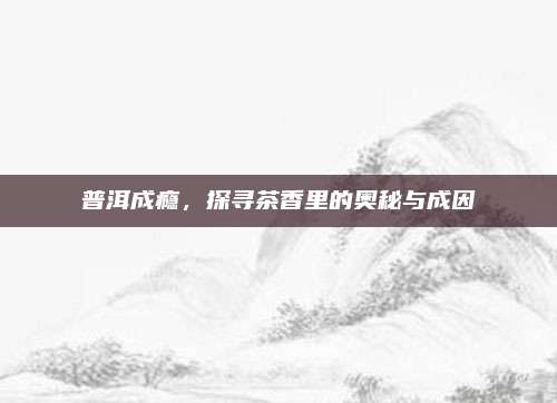 普洱成瘾，探寻茶香里的奥秘与成因