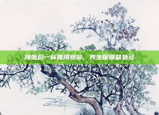 晚饭后一杯普洱熟茶，养生保健益处多
