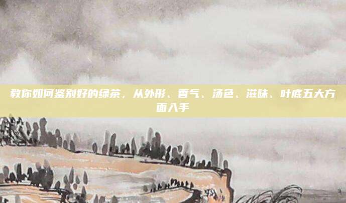教你如何鉴别好的绿茶，从外形、香气、汤色、滋味、叶底五大方面入手