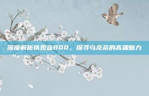 深度解析铁观音800，探寻乌龙茶的高端魅力