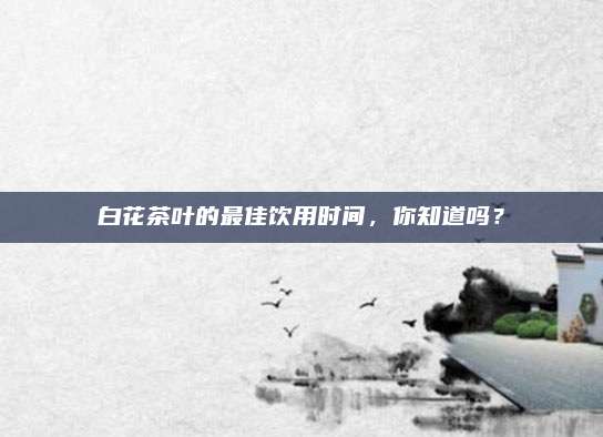 白花茶叶的最佳饮用时间，你知道吗？