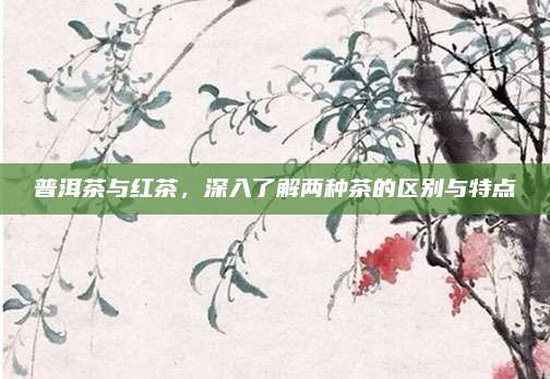 普洱茶与红茶，深入了解两种茶的区别与特点