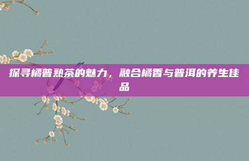 探寻橘普熟茶的魅力，融合橘香与普洱的养生佳品