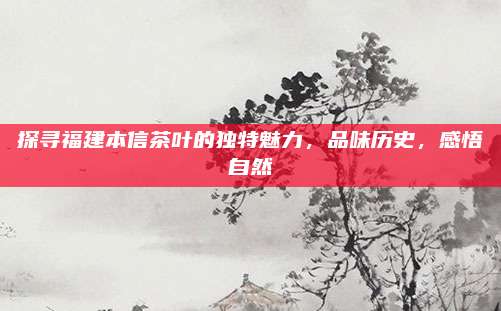 探寻福建本信茶叶的独特魅力，品味历史，感悟自然