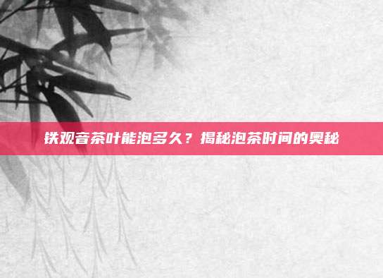 铁观音茶叶能泡多久？揭秘泡茶时间的奥秘