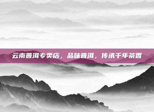 云南普洱专卖店，品味普洱，传承千年茶香
