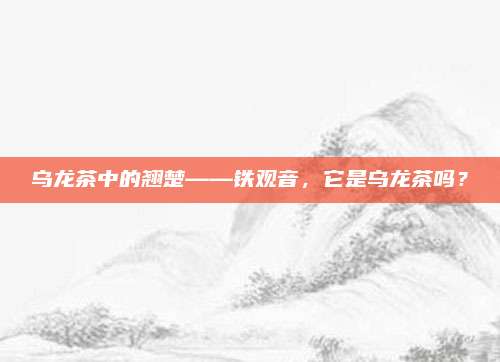 乌龙茶中的翘楚——铁观音，它是乌龙茶吗？