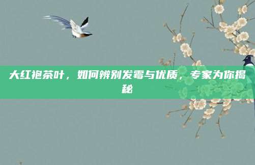 大红袍茶叶,如何辨别发霉与优质,专家为你揭秘