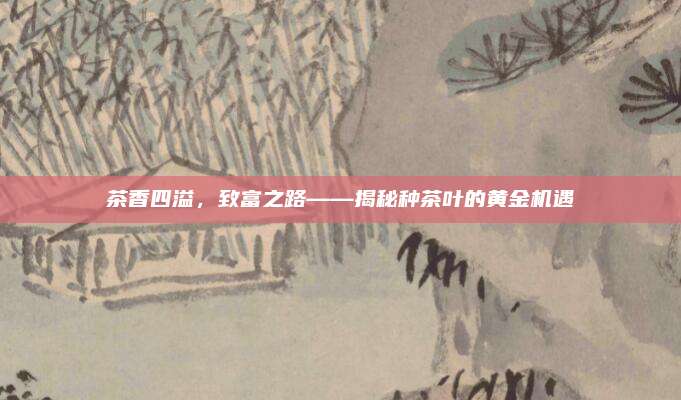 茶香四溢，致富之路——揭秘种茶叶的黄金机遇
