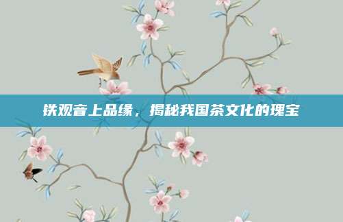 铁观音上品缘，揭秘我国茶文化的瑰宝
