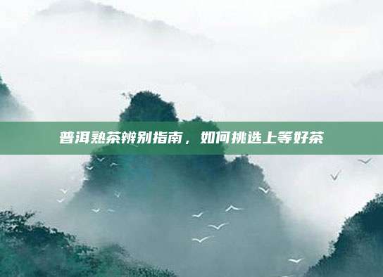 普洱熟茶辨别指南，如何挑选上等好茶