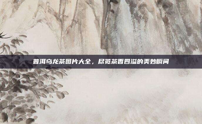 普洱乌龙茶图片大全，尽览茶香四溢的美妙瞬间