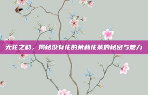 无花之韵,揭秘没有花的茉莉花茶的秘密与魅力