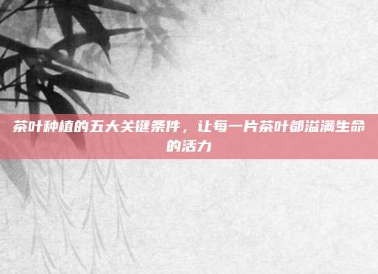 茶叶种植的五大关键条件,让每一片茶叶都溢满生命的活力