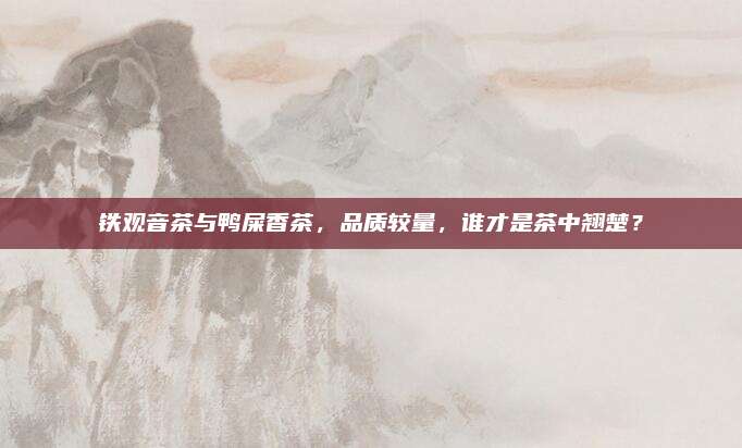 铁观音茶与鸭屎香茶,品质较量,谁才是茶中翘楚?