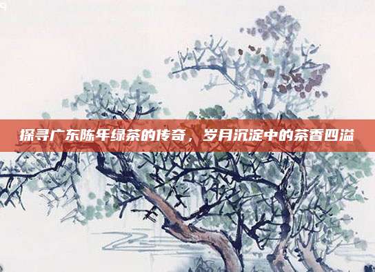 探寻广东陈年绿茶的传奇,岁月沉淀中的茶香四溢