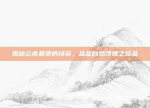 揭秘云南最贵的绿茶,品鉴自然馈赠之珍品