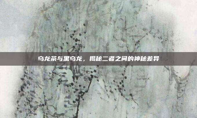 乌龙茶与黑乌龙,揭秘二者之间的神秘差异