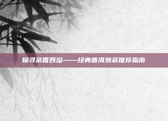 探寻茶香四溢——经典普洱熟茶推荐指南