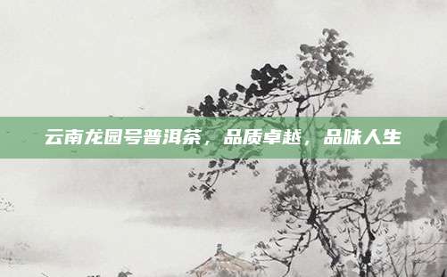 云南龙园号普洱茶,品质卓越,品味人生