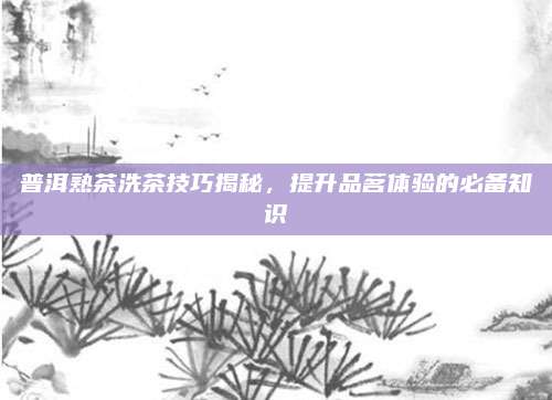 普洱熟茶洗茶技巧揭秘,提升品茗体验的必备知识