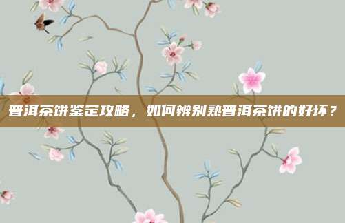 普洱茶饼鉴定攻略,如何辨别熟普洱茶饼的好坏?