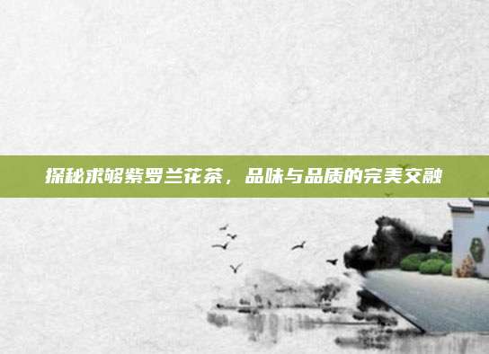探秘求够紫罗兰花茶,品味与品质的完美交融