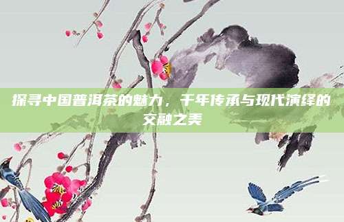 探寻中国普洱茶的魅力,千年传承与现代演绎的交融之美