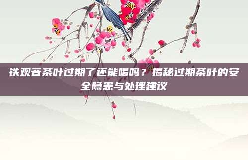 铁观音茶叶过期了还能喝吗？揭秘过期茶叶的安全隐患与处理建议
