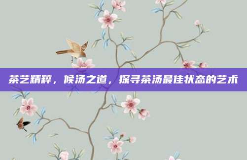 茶艺精粹,候汤之道,探寻茶汤最佳状态的艺术
