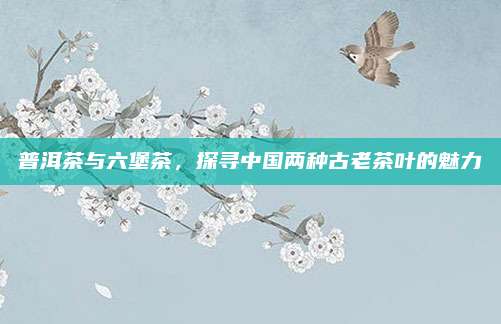 普洱茶与六堡茶，探寻中国两种古老茶叶的魅力