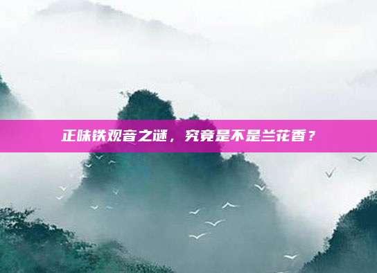 正味铁观音之谜,究竟是不是兰花香?