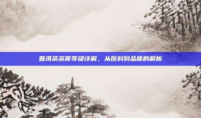 普洱茶茶箐等级详解，从原料到品质的解析