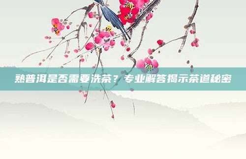 熟普洱是否需要洗茶？专业解答揭示茶道秘密