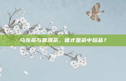 乌龙茶与普洱茶，谁才是茶中珍品？