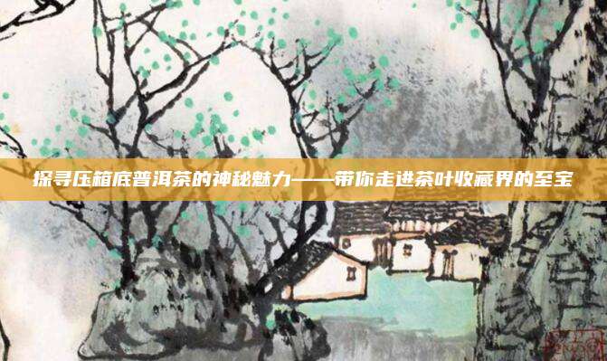 探寻压箱底普洱茶的神秘魅力——带你走进茶叶收藏界的至宝