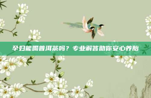 孕妇能喝普洱茶吗?专业解答助你安心养胎