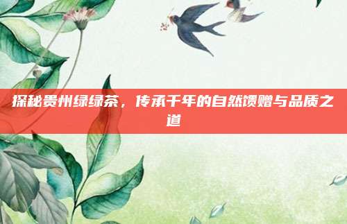 探秘贵州绿绿茶，传承千年的自然馈赠与品质之道